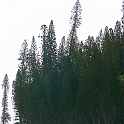 11. Mebuet